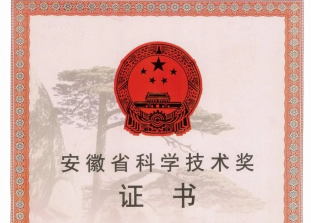 榮譽(yù) | 科達(dá)新銘豐、安徽科達(dá)潔能榮獲省級(jí)科技進(jìn)步獎(jiǎng)！
